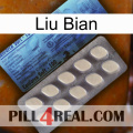 Liu Bian 34